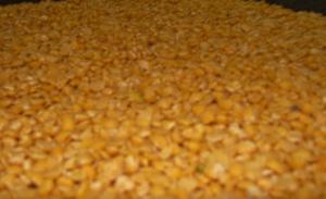 Αγρόκτημα Γιάννη Νομικού photo 9